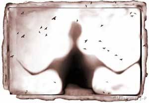 legerete © i.magine